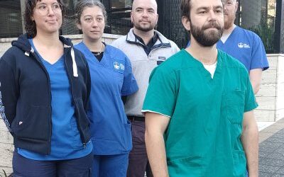 Medical professionals condemn NSW Police violence against pro-Palestine protesters