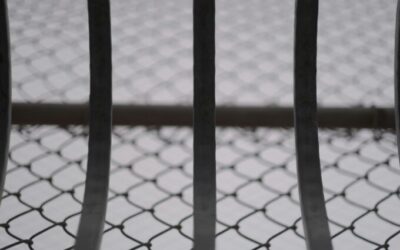 Naturalize Or Terrorize? ICE Is a Racket – And It’s Costing Too Much