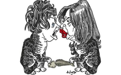 Argentina: Desinterés por las elecciones de medio término del 7 de setiembre