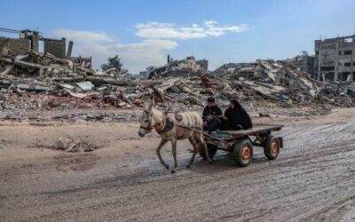 From Auschwitz to Gaza’s “Humanitarian City”