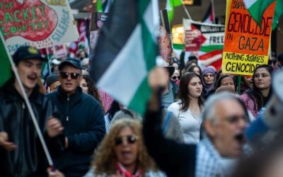 How can the Palestine solidarity movement win?