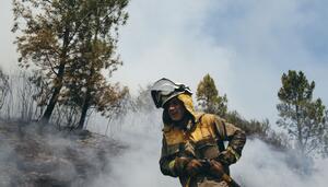 2025, el quinto año con más incendios en cinco décadas
