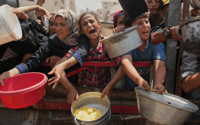Internacional | El Alto Comisionado de la ONU para los Derechos Humanos declaró que la aparición de la hambruna en el norte de Gaza es el “resultado directo de las acciones tomadas por el gobierno israelí”
