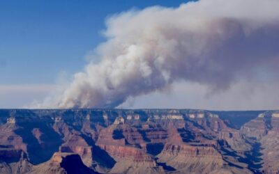 Un incendio sta devastando una parte del Grand Canyon, negli Stati Uniti