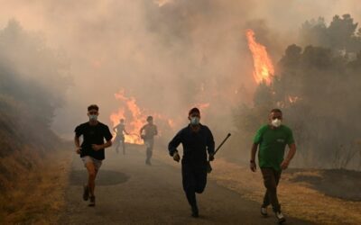Incendi e caldo estremo in tutta Europa, tre morti in Spagna