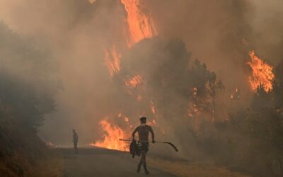 Gli incendi hanno distrutto un milione di ettari di vegetazione nell’Unione europea
