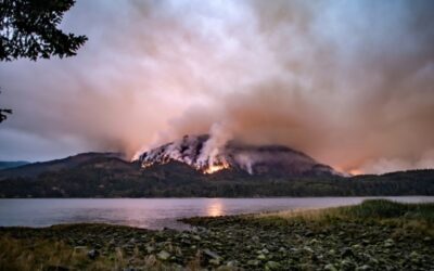 Gli incendi causano un aumento dell’inquinamento atmosferico nel mondo