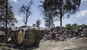 Los daños a la salud por la contaminación de plásticos alcanzan los 1,3 billones de euros a nivel mundial