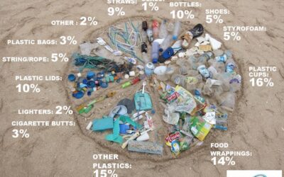 U.S. and oil producers block a treaty to clean the world of plastic pollution