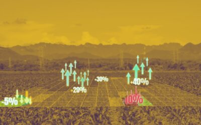 ¿Comida a un clic? Alimentos en la nueva fase del capital financiero y digital – Por Carolina Sturniolo, Fernando Rizza y Bruno Ceschin