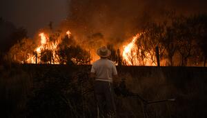 Los fuegos que vendrán: crónica de un rural que sobrevive