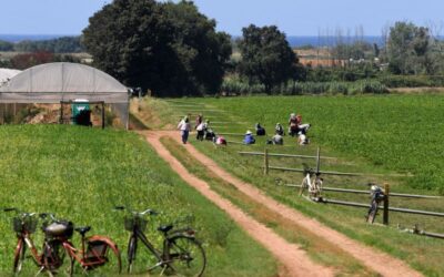 In Italy, Punjabi Farmworkers Are Treated as Expendable