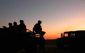 The Rot at Fort Bragg
