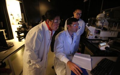 How the Pharma Industry Botched Alzheimer’s Treatment