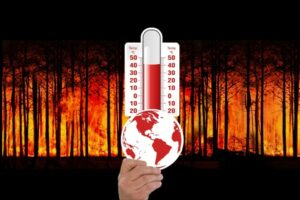 Blaming Nature, Excusing Greed: The Hypocrisy of Environmental Destruction”