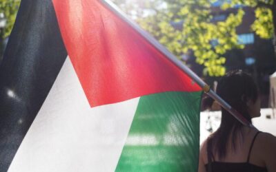 Albion Stupidities: Palestine Action and Anti-Terrorism Laws