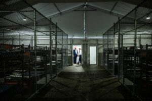 Alligator Alcatraz: court injunctions and journalistic investigations