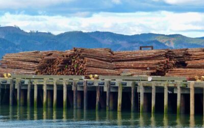 Water and Wildfire: Don’t Let Logging Myths Undermine Real Solutions