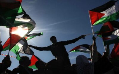 Ante el drama palestino