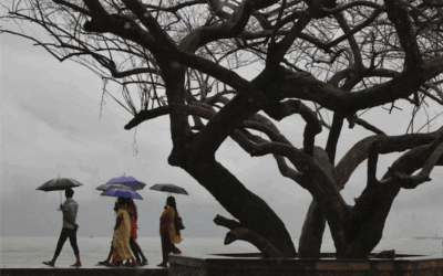 Going off script: Our front row view of another Kerala story