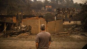 Declaración de zona de emergencia y ERTE de fuerza mayor para paliar el efecto de los incendios