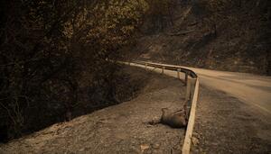 La agonía de León y los ‘bulldozers’