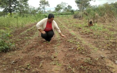 Agricultura familiar, campesina e indígena, la columna vertebral de la producción de alimentos en América Latina y el Caribe – Por Carolina Sturniolo, Fernando Rizza y Bruno Ceschin