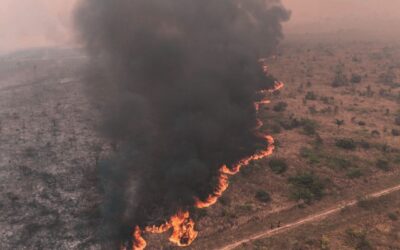 El Gobierno declaró “Situación de Emergencia Nacional” por los incendios forestales en distintas regiones del país  