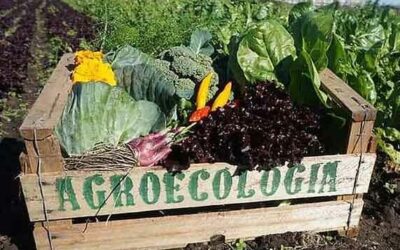La agroecología rentable: cae el mito de la baja productividad “bio”