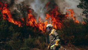 Nueve incendios siguen descontrolados en Ourense con casi 60.000 hectáreas quemadas y cientos de casas en peligro