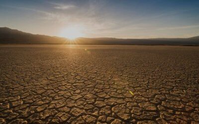 ICJ: States have responsibility to stop emitting fossil fuels