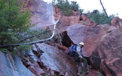 Grand Canyon’s Dragon Bravo Megafire Shows the Growing Wildfire Threat to Water Systems