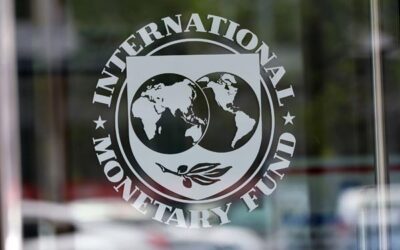 How to get the IMF to think