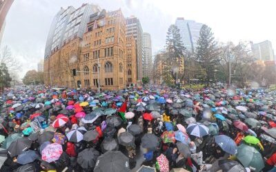 Historic Harbour Bridge Palestine solidarity protest reaches Gaza