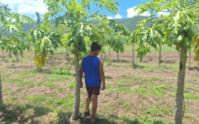 Infancias sitiadas: comen, respiran y viven con plaguicidas – Por Aleida Rueda