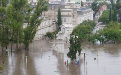 Seis meses después