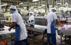 Eating Meat While Deporting Those Who Produce It