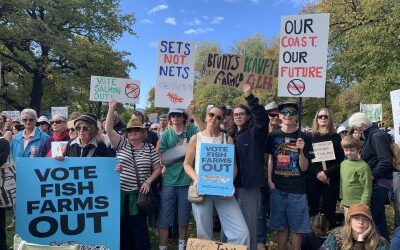 Tasmanian election results show anger at business as usual