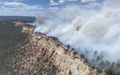 The “Wildfire” the Forest Service Ignited