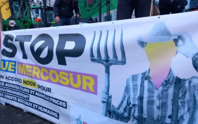 Europa-Mercosur, críticas desde ambas orillas: ¿acuerdo?
