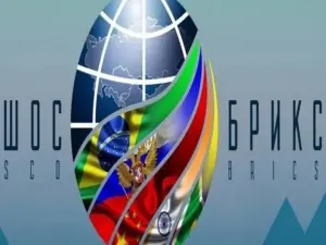 The SCO & BRICS Play Complementary Roles In Gradually Transforming Global Governance