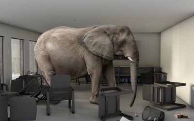 Peace Demo and Overton Window on the Elephant in the Room