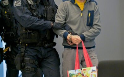 Germania, ex assistente di un deputato dell’Afd condannato per spionaggio