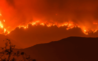 The fire this time: capitalism and the limits of survival