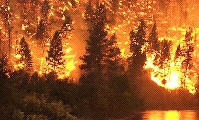 Wildfire smoke impact far greater than estimates: thousands killed