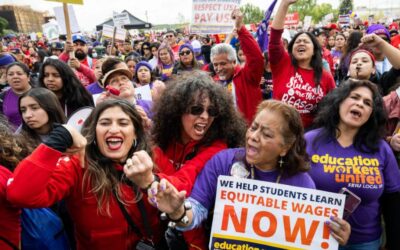 How to Fight the Boss and Authoritarianism