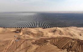 The Problem of Green Capitalism