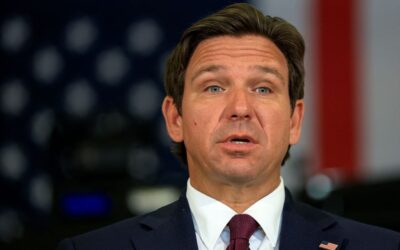 $1-a-Day Jobs and the Logic of the New Immigrant Crackdown