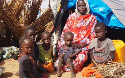 Nuevo reordenamiento geopolítico: los derechos humanos en crisis
