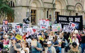Where Did All the Youth Climate Activists Go?